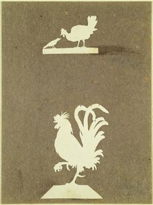 Aves de capoeira (colagem sobre papel)